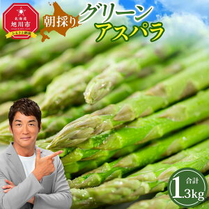 yӂ邳Ɣ[ŁzLOAys\ẑ O[AXp (2026N5{Jn) _01706 | AXp AXpKX  { t kC Ƃꂽ  ①z ① s 