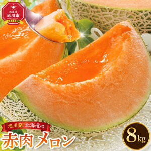 yӂ邳Ɣ[Łzy26Ns\z씭IkC̐ԓi2026Nj_01102 | ʕ ԓ t[c  x s kC sӂ邳Ɣ[ kCӂ邳Ɣ[ 