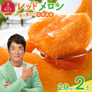 yӂ邳Ɣ[Łzy26Ns\zL kCbh (2026N7{甭Jn\) 1.6kg×2ʁA1.3kg×2ʁA2.0kg×2ʂI |  ԓ ԓ bh ʕ
