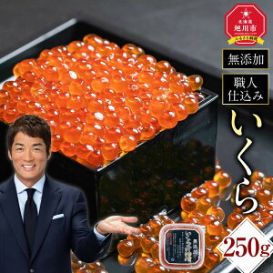 yӂ邳Ɣ[ŁzkCYCN傤Ђ()@250g _00583 |  CN ݖЂ  Y  Ⓚ  ۑ s kCӂ邳Ɣ[ kC 