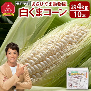 yӂ邳Ɣ[Łzy26Ns\/eʑI\zЂܓ낭܃R[8`10{i3.2kg`4kgj2026N8{甭Jn\ _00308 | Ƃ낱 XC[gR[ z