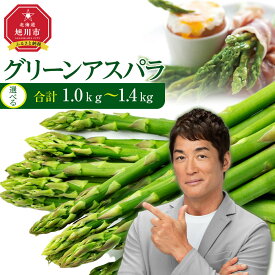 【ふるさと納税】【先行予約】【便利な小分け袋入】グリーンアスパラ(2026年5月から発送開始予定) ※容量をご選択ください※ _01380 | 野菜 アスパラ グリーンアスパラ アスパラガス 小分け 保存 北海道産 旭川市 北海道ふるさと納税 北海道 送料無料