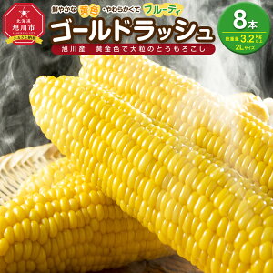 yӂ邳Ɣ[Łzy2026Ns\zFő嗱 S[hbV 8{ 3.2kgi2026N8{甭Jn\j _04560 | Ƃ낱 S[hbV Â x Ė  { sӂ