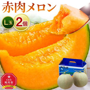 【ふるさと納税】◆楽天限定◆【26年発送先行予約】北海道「赤肉メロン」L玉×2個 (2026年7月発送開始予定) 【 果物 くだもの フルーツ メロン 赤肉 赤肉メロン 旬 お取り寄せ 甘い 北海道産