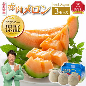 【ふるさと納税】【26年発送先行予約】北海道産赤肉メロン(2026年7月中旬から発送開始予定) | 赤肉 メロン 果物 フルーツ 糖度 お取り寄せ 旭川市 北海道ふるさと納税 北海道 送料無料