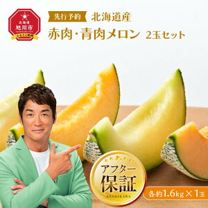 【ふるさと納税】【26年発送先行予約】北海道産赤肉・青肉メロン2玉セット(各約1.6kg×1玉) (2026年7月中旬から発送開始予定) _02062 | メロン 赤肉 赤肉メロン 青肉 果物 フルーツ 糖度 甘い 旬 2