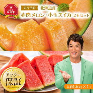 【ふるさと納税】【26年発送先行予約】北海道産赤肉メロン・小玉スイカ 2玉セット(各1.6kg×1玉) (2026年7月中旬から発送開始予定) _02064 | 赤肉メロン 甘い ギフト 贈答用
