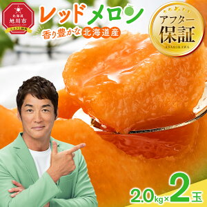 【ふるさと納税】【26年発送先行予約】香り豊かな 北海道レッドメロン (2026年7月下旬から発送開始予定) 1.6kg×2玉、1.3kg×2玉、2.0kg×2玉から選択可 | メロン 赤肉メロン 赤肉 レッドメロン 果物