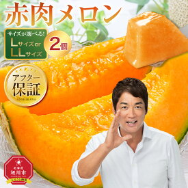 【ふるさと納税】◆楽天限定◆ ランキング常連 【26年発送先行予約】北海道「赤肉メロン」L玉orLL玉×2個 (2026年7月発送開始予定) 【 果物 くだもの フルーツ メロン 赤肉 赤肉メロン 旬 お取り寄せ 甘い 北海道産 旭川市 北海道 】 | 2玉