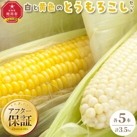 【ふるさと納税】【先行予約】【旭川近郊産】白と黄色のとうもろこしセット　各5本（計3.5kg）2026年8月上旬から発送開始予定 _00094 | 白いとうもろこし セット ホワイトショコラ ゴールドラッシ 旭川市ふるさと納税 北海道ふるさと納税