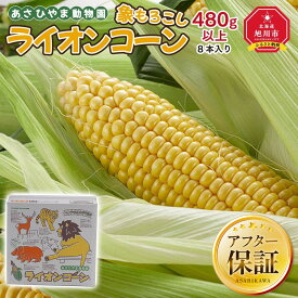【ふるさと納税】【26年発送先行予約】象もろこし（ライオンコーン）大きいサイズのトウモロコシ 480g以上 8本入り (2026年8月下旬～発送開始予定) _01412 | とうもろこし コーン 糖度16度以上 糖度 お取り寄せ 旭川市 北海道ふるさと納税 送料無料