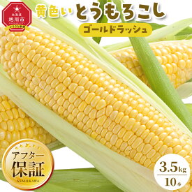 【ふるさと納税】【先行予約】【旭川近郊産】黄色いとうもろこし（ゴールドラッシュ）3.5kg（10本）2026年8月上旬から発送開始予定 _00092 | とうもろこし コーン ゴールドラッシュ 野菜 甘い 糖度 北海道ふるさと納税 旭川市 北海道 送料無料