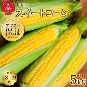 yӂ邳Ɣ[ŁznerŏЉ!ys\zx18`19x! kCYXC[gR[5kg (2026N8{Jn\)_05256