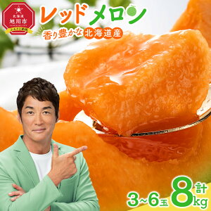 yӂ邳Ɣ[Łzy26Ns\zL kCbh (2026N7{甭Jn\) 1.3kg~8.0kgI |  ԓ ԓ bh ʕ Mtg 蕨 