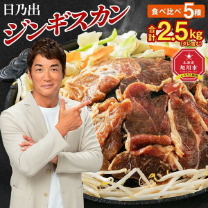 【ふるさと納税】DayDay.で紹介! ランキング常連 日乃出ジンギスカン食べ比べ5種【2.5kg】セット_04440 | 羊肉 焼肉 肉 焼き肉 コスパ 小分け ラム マトン ロース 肩ロース モモ ラム肉 タレ 味付