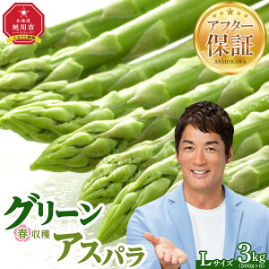 �y�ӂ邳�Ɣ[�Łz����s�\�񁟁y�e�ʑI���\�z�t���n�O���[���A�X�p�� L�T�C�Y 500g�`3kg�i2026�N6����{���甭���J�n�\��j | ��� �A�X�p�� �A�X�p���K�X �t �O���[���A�X�p�� ����s�ӂ�