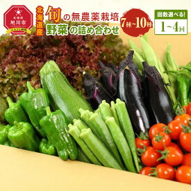 【ふるさと納税】【北海道旭川産】【発送回数選択可能】旬の野菜詰め合わせ[7～10種類](栽培期間中農薬不使用・化学肥料不使用) | 北海道産 無農薬栽培 野菜セット 季節の野菜 新鮮 お取り寄せ 野菜ボックス 安全 安心 野菜直送 人気 旭川市
