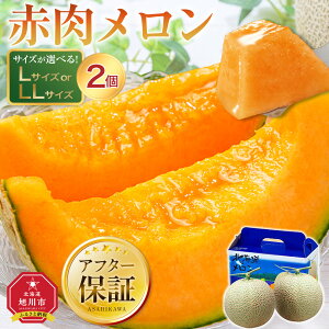 【ふるさと納税】ランキング常連 【26年発送先行予約】北海道「赤肉メロン」...
