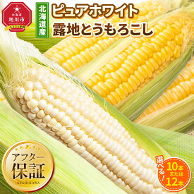 【ふるさと納税】【26年先行予約】【種類選択可能】北海道産ピュアホワイト・露地とうもろこし　計10本～12本 2026年8月中旬から発送開始予定 | とうもろこし ピュアホワイト 高評価 ランキング 露地栽培 コーン 甘い 糖度 野菜 夏野菜 旬 お取り寄せ 旭川市 北海道