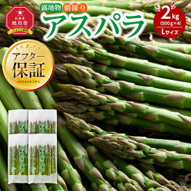 【ふるさと納税】ランキング常連【26年先行予約】露地物朝採りアスパラ 鮮度保持フィルム入り(5月中旬発送開始予定) | 野菜 アスパラガス グリーンアスパラ 旬 とれたて お取り寄せ 産地直送 小分け 保存 旭川市 北海道 送料無料