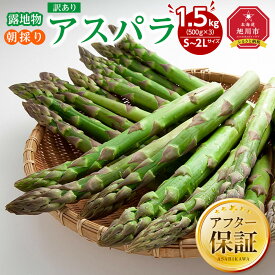 【ふるさと納税】◆2026年先行予約◆【訳あり】露地物朝採りアスパラ 鮮度保持フィルム入り(5月中旬発送開始予定) | アスパラ アスパラガス 朝採り とれたて 野菜 旬 小分け 保存 産直 産地直送 お取り寄せ 旭川市 北海道