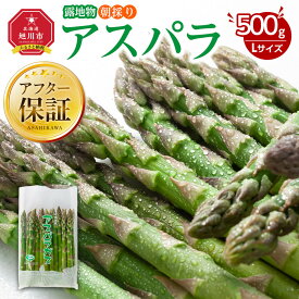 【ふるさと納税】ランキング常連【26年先行予約】露地物朝採りアスパラ 鮮度保持フィルム入り(5月中旬発送開始予定) | 野菜 アスパラガス グリーンアスパラ 旬 とれたて お取り寄せ 産地直送 小分け 保存 旭川市 北海道 送料無料