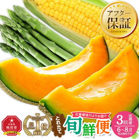 【ふるさと納税】ランキング1位獲得！【26年発送先行予約】とれたて旬鮮便～北海道旭川市から旬の定期便～ _01107 | お楽しみ 大人気 ランキング 野菜 グリーンアスパラ メロン ゴールドラッシュ 赤肉 フルーツ 果物 2玉 旭川市ふるさと納税 北海道