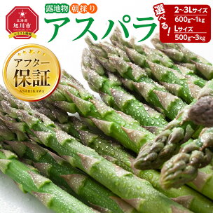 ランキング常連【26年先行予約】露地物朝採りアスパラ 鮮度...