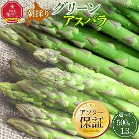 【ふるさと納税】ランキング常連【先行予約】朝採り グリーンアスパラ (2026年5月下旬発送開始) | アスパラ アスパラガス 野菜 旬 春 北海道 とれたて お取り寄せ 冷蔵配送 冷蔵 旭川市 送料無料