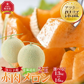 【ふるさと納税】【26年発送先行予約】ランキング常連 北海道産赤肉メロン約1.3kg× ～1.6kg×2玉(2026年7月中旬から発送開始予定) _02061 | メロン 赤肉 果物 フルーツ 糖度
