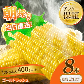 【ふるさと納税】【2026年先行予約】黄金色で大粒 ゴールドラッシュ 8本 3.2kg（2026年8月下旬から発送開始予定） | とうもろこし ゴールドラッシュ 甘い 糖度 夏野菜 野菜 旬 旭川市ふるさと納税 北海道ふるさと納税 旭川市 北海道 送料無料