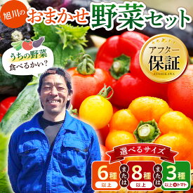 【ふるさと納税】【先行予約】【種類選択可】旭川のおまかせ野菜セット(2026年7月下旬発送開始)_05908