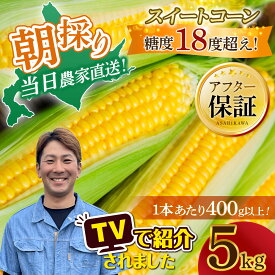 【ふるさと納税】地元テレビで紹介!【先行予約】糖度18～19度! 北海道旭川産朝採れスイートコーン約5kg (2026年8月中旬発送開始予定) 【 とうもろこし コーン ゴールドラッシュ 野菜 旬 お取り寄せ 北海道 旭川市 】_05256