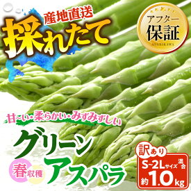 【ふるさと納税】【訳あり】春収穫グリーンアスパラ S～2L混合サイズ 約1kg （2027年6月上旬から発送開始予定) 【 アスパラ アスパラガス 朝採り とれたて 野菜 旬 保存 産直 旭川市 北海道 】_05955