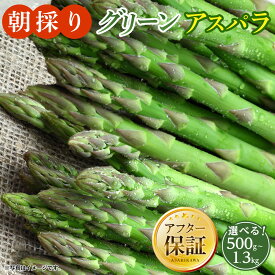 【ふるさと納税】ランキング常連【先行予約】朝採り グリーンアスパラ（2026年5月下旬発送開始） | アスパラ アスパラガス 野菜 旬 春 北海道 とれたて お取り寄せ 冷蔵配送 冷蔵 旭川市 送料無料