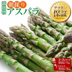 【ふるさと納税】ランキング常連【26年先行予約】露地物朝採りアスパラ 鮮度保持フィルム入り(5月中旬発送開始予定) | 野菜 アスパラガス グリーンアスパラ 旬 とれたて お取り寄せ 産地直送 小分け 保存 旭川市 北海道 送料無料