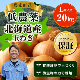 【ふるさと納税】【先行予約】農家直送 低農薬 旭川産 玉ねぎLサイズ20kg(2026年9月発送開始予定)_05935 | 野菜 やさい 食品 人気 おすすめ 送料無料