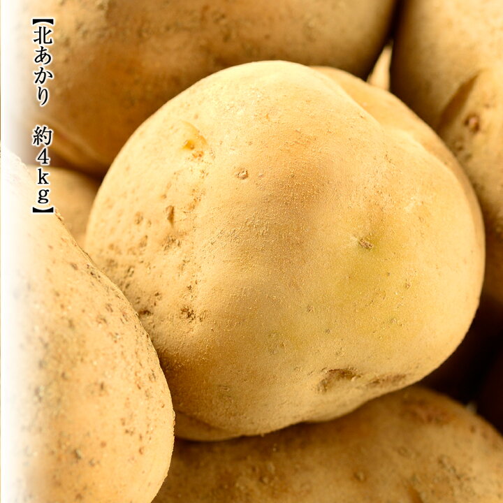 楽天市場 ふるさと納税 先行予約 期間限定秋の味覚セット じゃがいも 玉ねぎ かぼちゃ 22年9月中旬発送予定 野菜 北あかり たまねぎ かぼちゃ じゃが芋 ジャガイモ セット 旭川市ふるさと納税 北海道ふるさと納税 北海道旭川市 ふるさと納税