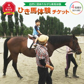 【ふるさと納税】ひき馬体験　4名様分_01540 | 体験 レジャー チケット 家族 乗馬 騎乗 屋内馬場 馬 ふれあい ひき馬 旭川市ふるさと納税 北海道ふるさと納税 アウトドア 旭川市 北海道 送料無料