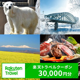 【ふるさと納税】北海道旭川市の対象施設で使える楽天トラベルクーポン 寄附額100,000円旅行 旅行券 旅行クーポン