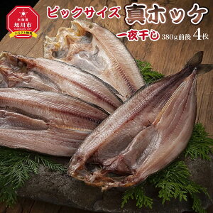 �y�ӂ邳�Ɣ[�Łz�r�b�N�T�C�Y �^�z�b�P ��銱�� ��380g 4������ _01416 | ��銱�� �� ���� �ق��� �z�b�P �@�� �^�ق��� �^�z�b�P ���H�i ����� �^��p�b�N ������ �Ⓚ ����s �k�C����