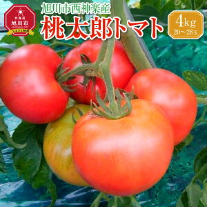 yӂ邳Ɣ[Łzs_yY Yg}g4kgi2026N6{`Jn\j_00960 |  g}g s\ Yg}g sӂ邳Ɣ[ kCӂ邳Ɣ[