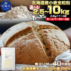 【ふるさと納税】 北海道産 スペルト小麦全粒粉 ディンケルスター 選べる 2.5kg ～ 10kg 【 ふるさと納税 人気 おすすめ ランキング 小麦 小麦粉 粉 ディンケル小麦 スペルト小麦 穀物 石臼全粒粉 国産 北海道産 ギフト 贈答 プレゼント 贈り物 北海道 室蘭市 】 MROBI001