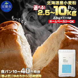【ふるさと納税】北海道産 「春よ恋」「ゆめちから」ブレンド小麦粉 パウダースノー（パン用強力粉）選べる 2.5kg ～ 10kg 【 ふるさと納税 人気 おすすめ ランキング 小麦 小麦粉 粉 春よ恋 ゆめちから パン用 強力粉 国産 北海道産 北海道 室蘭市 送料無料 】 MROBI009