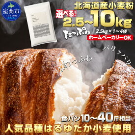 【ふるさと納税】 北海道産 はるゆたかブレンド小麦粉 シルバーライズ（パン用強力粉）選べる 2.5kg ～ 10kg 【 ふるさと納税 人気 おすすめ ランキング 小麦 小麦粉 粉 はるゆたか パン用 強力粉 穀物 国産 北海道産 ギフト 食パン 北海道 室蘭市 送料無料 】 MROBI013