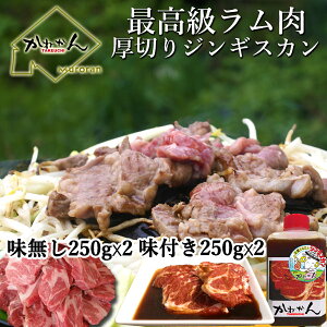yӂ邳Ɣ[ŁztWMXJ250g×2 [X250×2 yӂ邳Ɣ[ lC  LO  WMXJ t er r   BBQ ē Zbg e l kC 