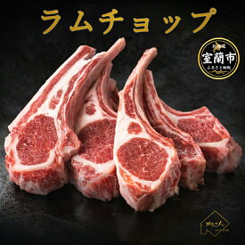 【ふるさと納税】カネカン竹内 訳ありラムチョップ 選べる味 下味付き / たれ 味付き 選べる容量 500g / 700g / 1kg / 1.5kg 【ふるさと納税 人気 おすすめ ランキング 訳あり ラムチョップ ラム ジンギスカン 味付き 仔羊 羊肉 肉 肉厚 BBQ 焼肉 北海道 室蘭市 送料無料】