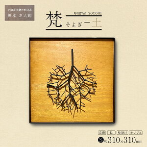yӂ邳Ɣ[Łziui悬j`yv S 310×310mm y  i |p S Ǌ| IuWF z LO kC   悬 IuWF  i u 蕨 S Sy CeA H