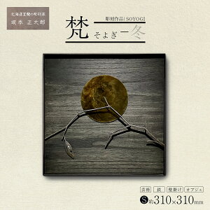 yӂ邳Ɣ[Łziui悬j`~v S 310×310mm y  i |p S Ǌ| IuWF z LO kC   悬 IuWF  i u 蕨 S Sy CeA H