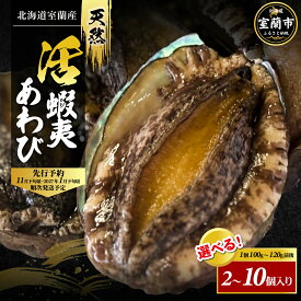 【ふるさと納税】【先行予約 令和8年11月下旬発送】北海道産 天然活蝦夷あわび 選べる 2個入～10個入 1個100g～120g前後 コリコリ食感 濃厚な旨み 肉厚 あわび アワビ 鮑 北海道 室蘭市
